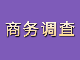 合山商务调查